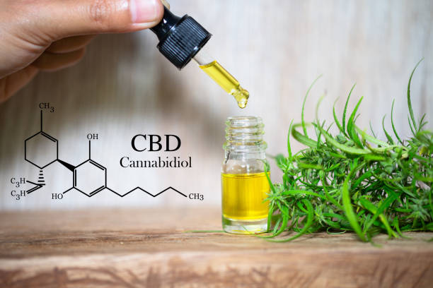 istock CBD elements in Cannabis,  droplet dosing a biological and ecological hemp plant herbal pharmaceutical cbd oil from a jar. Concept of herbal alternative medicine. 1183337256