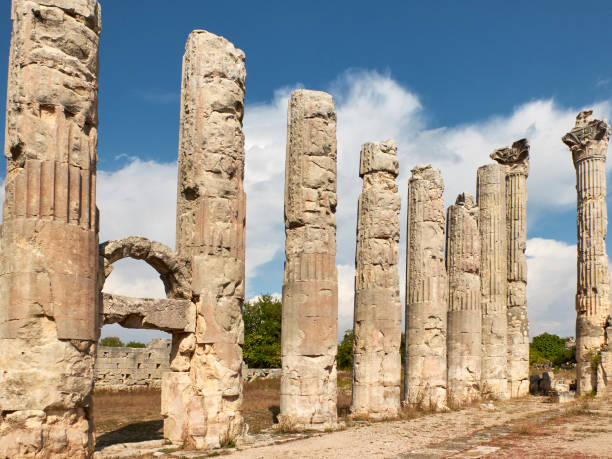 Corynthian columns of Zeus Olbios Temple, ancient Anatolian architecture of the Hellenistic period Corynthian columns of Zeus Olbios Temple, ancient Anatolian architecture of the Hellenistic period in the Roman province of Isauria, in present-day Uzuncaburc, Silifke, Mersin province, Turkey uzuncaburc stock pictures, royalty-free photos & images