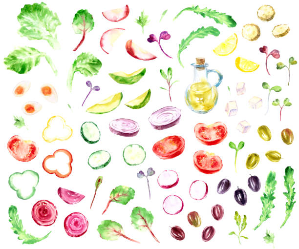 ręcznie rysowany szkic akwareli składników sałatkowych. - olive green illustration and painting backgrounds watercolor painting stock illustrations