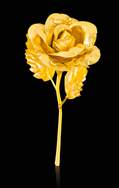 istock Golden rose isolated on black background 1183349273