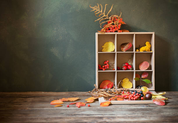 istock autumn background with leaves and berries 1183349454
