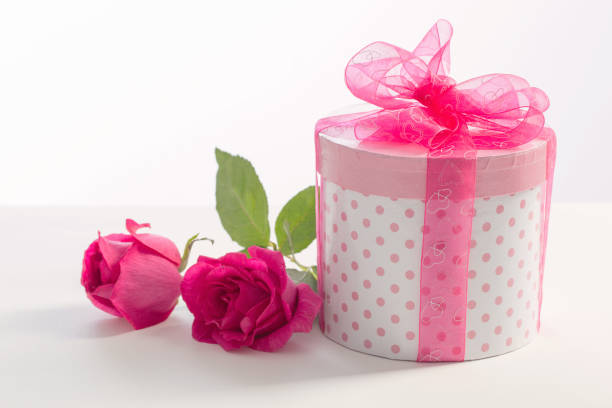 gift box with pink roses on white background
