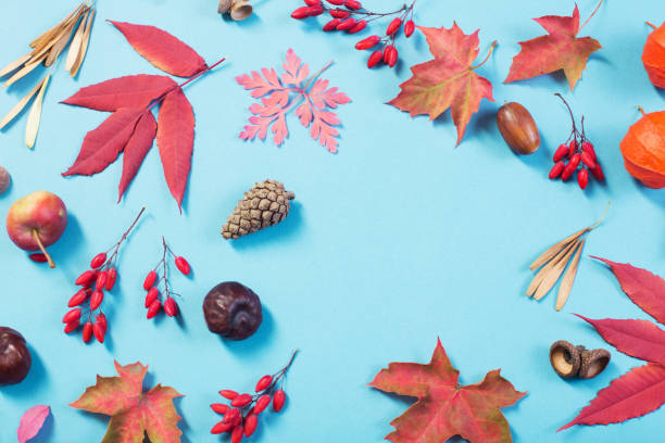istock autumn leaves on blue paper background 1183349496