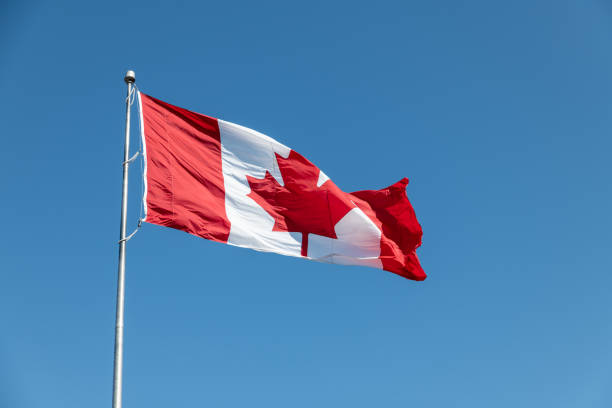 istock Large Canadian flag flies in the wind 1183351956