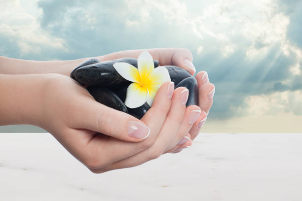 istock Mnicured hands with natural french nails and tropical spa object 1183352611