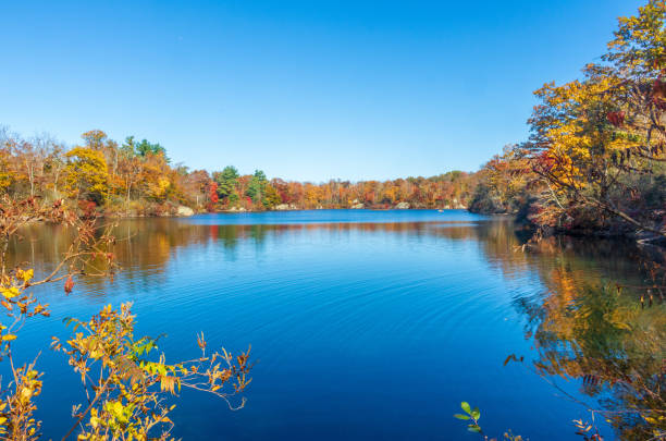 istock Beautiful fall foliage surrounds a small pond 1183353818