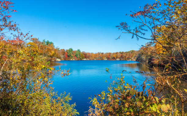 Autumn foliage surrounding a pond