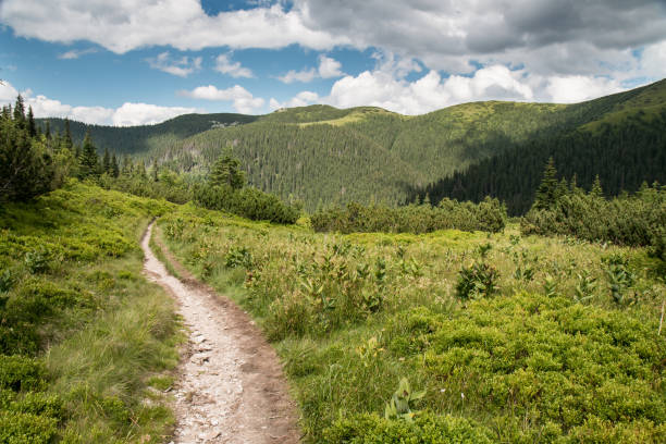 rohé, rohace-gebirge, westliche tatra, slowakei - mountain range carpathian mountain range mountain ridge stock-fotos und bilder