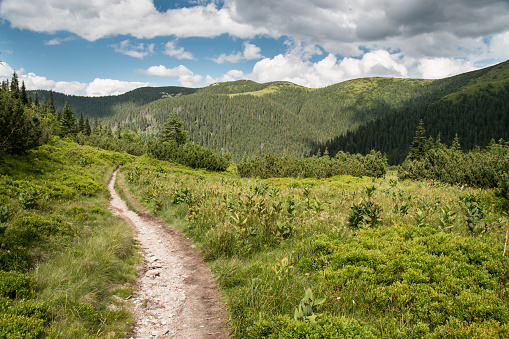 Touristic footpath in Roháče Mts.