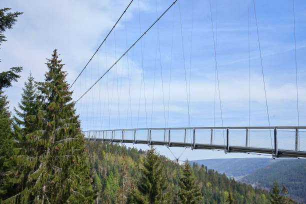 istock Beautiful landscape with a hanging iron bridge over a coniferous forest in Germany, Schwarzwald 1183356018