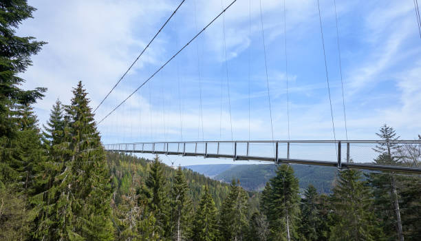 istock Beautiful landscape with a hanging iron bridge over a coniferous forest in Germany, Schwarzwald 1183356029