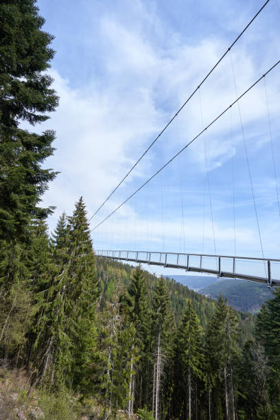 istock Beautiful landscape with a hanging iron bridge over a coniferous forest in Germany, Schwarzwald 1183356046
