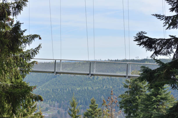 istock Beautiful landscape with a hanging iron bridge over a coniferous forest in Germany, Schwarzwald 1183356070