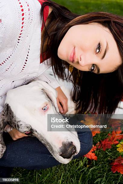 Junge Weibliche Verschweißung Mit Ihrem Hund Great Dane Stockfoto und mehr Bilder von 16-17 Jahre