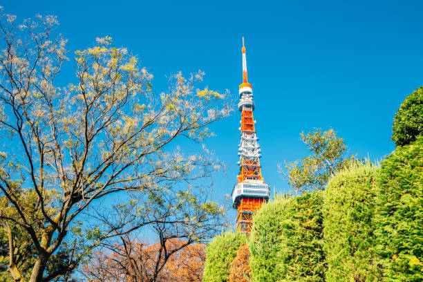 istock Tokyo tower with green leaf in Japan 1183361070