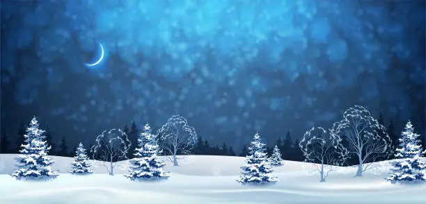 Vector illustration of Winter Night Landscape