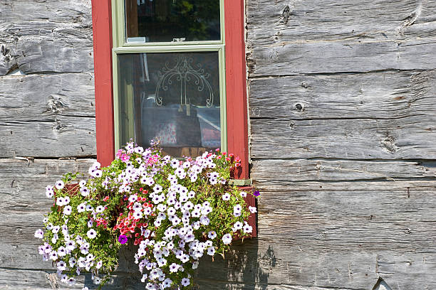 istock Filled flower box against weathered wooden siding 118336664