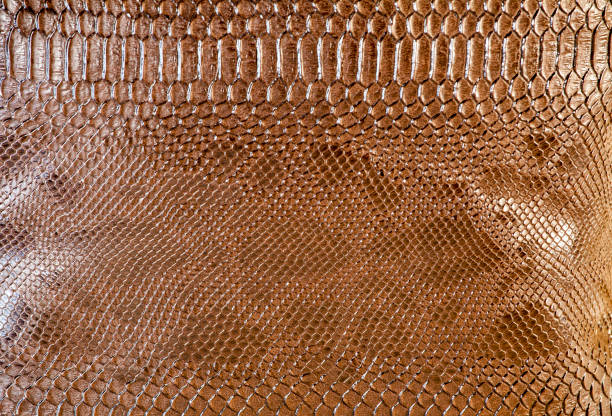 istock natural brown snake leather background 1183367102