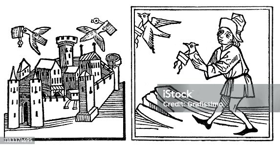 istock Medieval man sending homing pigeon to deliver messages 15th century 1183374695