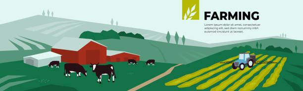 ilustrações de stock, clip art, desenhos animados e ícones de farming template with cows and irrigation tractor - commercial sprinkler system