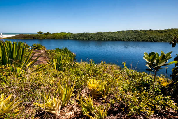 Lagoon of Carais photographed in Guarapari, Espirito Santo, Southeast of Brazil. stock photo