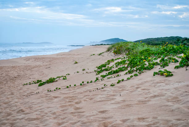 Beach of Carais photographed in Guarapari, Espirito Santo, Southeast of Brazil. stock photo