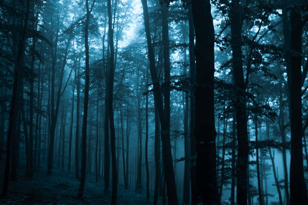 istock Magical turquoise forest. Halloween concept. 1183381969