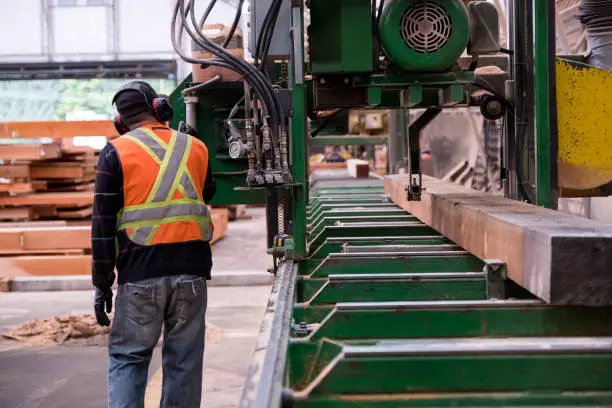 Photo of Man working in an Industrial timber manufacturing facility