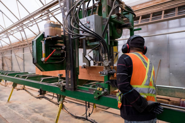 istock Working in an Industrial timber manufacturing facility 1183383631