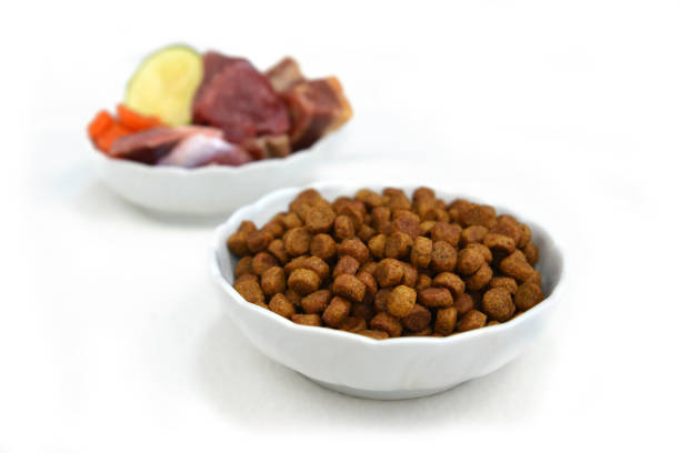 dog food methods