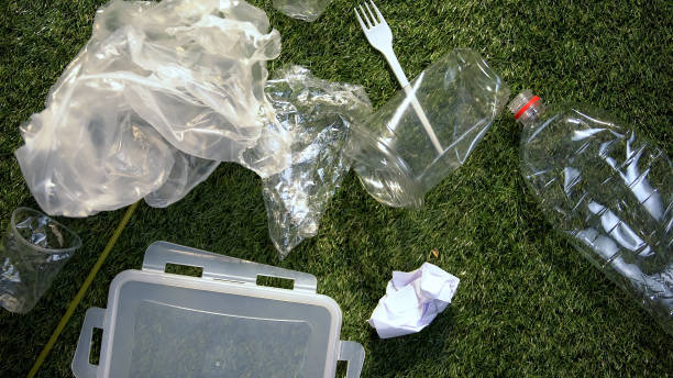 istock Plastic rubbish lying on grass, irresponsible behavior of people, pollution 1183387367