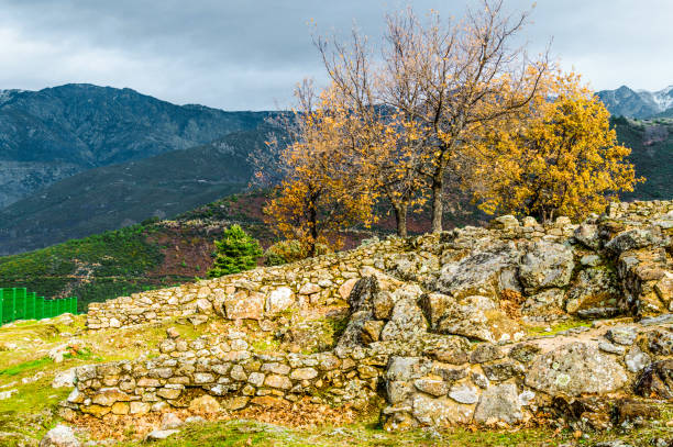 Three Holm oak With Its Autumnal Leaves Next To The Ruins Of The Houses Inside The Walls Dated In The Iron Age In The Third Century BC In The Castro Veton De El Freillo. December 15, 2018. El Raso Avila Castilla Leon Spain Europe. Travel Tourism Street Photography. tres encinas con sus hojas otoñales junto a las ruinas de las casas dentro de las paredes datadas en la edad del hierro en el siglo iii a. c. en el castro veton de el freillo. 15 de diciembre de 2018. el raso avila castilla león españa europa.