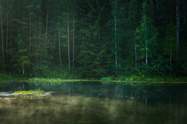 Creepy nighttime nature scene of smoke hovering above water and dead trees at Monroe Falls Lake, Ohio