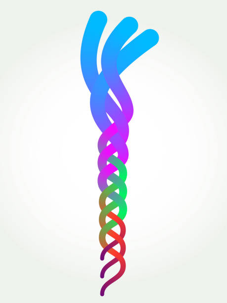 Abstract braid Pattern Cover design Template for corporate report or brochure intertwined letters stock illustrations