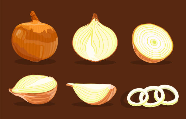 10,539 Onions Cartoon Stock Photos, Pictures & Royalty-Free Images - iStock