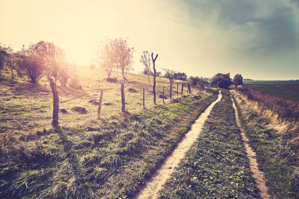 Scenic country road at sunset, color toning applied.