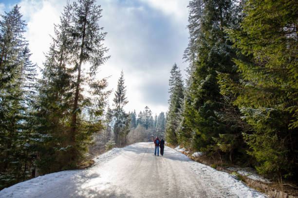 istock Snowy  forest,  Tatra  Mountains. 1183400361