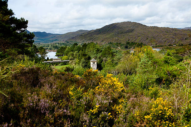 Rural Irish Landscape