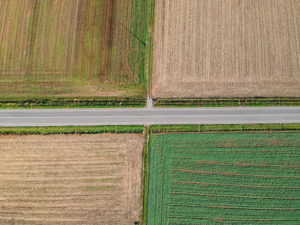 istock Aerial view of agricultural fields 1183401635