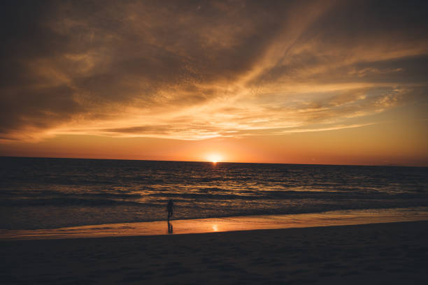 istock Sunset in Malibu Beach, USA 1183401663