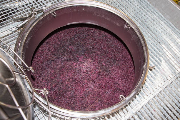 winemaking vats for fermenting grapes and producing wine at the winery winemaking vats for fermenting grapes and producing wine at the winery vat stock pictures, royalty-free photos & images