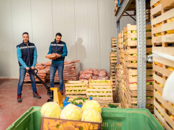 istock Fresh fruits and vegetables in warehouse 1183401864