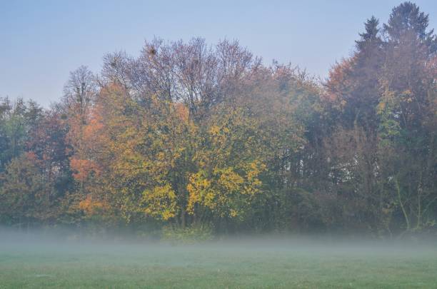 istock Beautiful autumn landscape. 1183401883