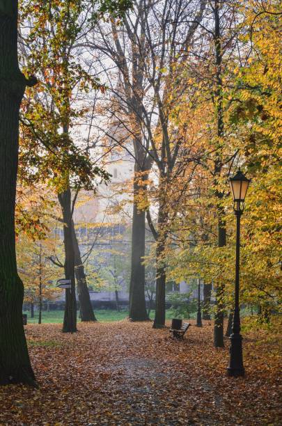 istock Beautiful autumn landscape. 1183401889