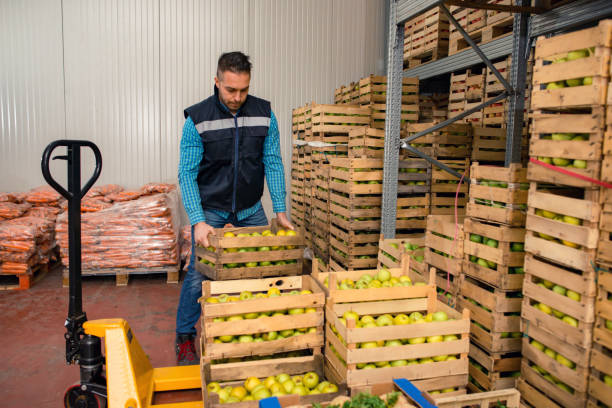 istock Fresh fruits and vegetables in warehouse 1183404530