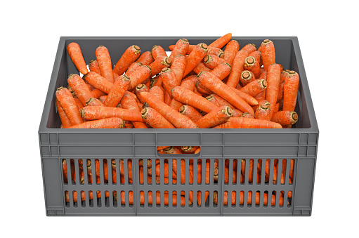 Carrots in the plastic crate, 3D rendering isolated on white background