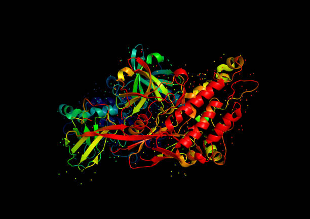 modelo 3d de una molécula de proteína. - crystallography fotografías e imágenes de stock