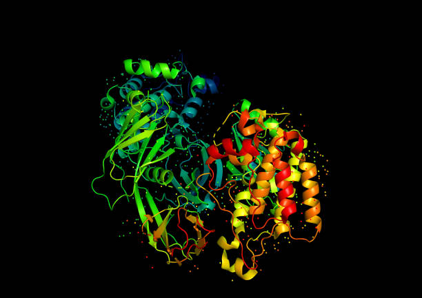 modelo 3d de una molécula de proteína. - crystallography fotografías e imágenes de stock