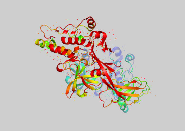 modelo 3d de una molécula de proteína. - crystallography fotografías e imágenes de stock
