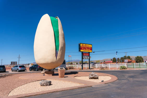 The World's Largest Pistachio in Alamogordo, New Mexico Alamogordo, New Mexico, USA - March 24th, 2019: The World's Largest Pistachio nut at McGinn's Pistachio Tree Ranch. biggest stock pictures, royalty-free photos & images
